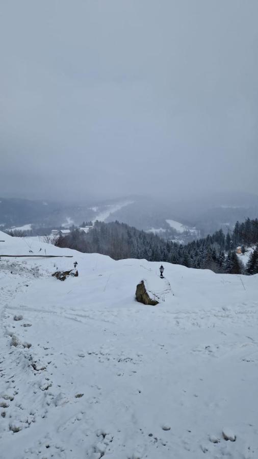 Rezydencja Nad Potoczkiem Висла Экстерьер фото
